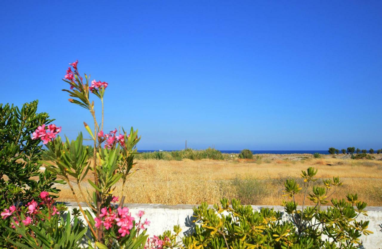 S-Eva Resort Колимбия Экстерьер фото